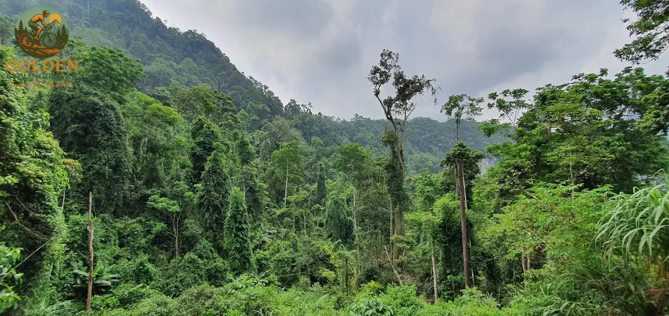 12-Day North Vietnam Cycling Adventure: Off the Beaten Path from Hanoi to Ninh Binh